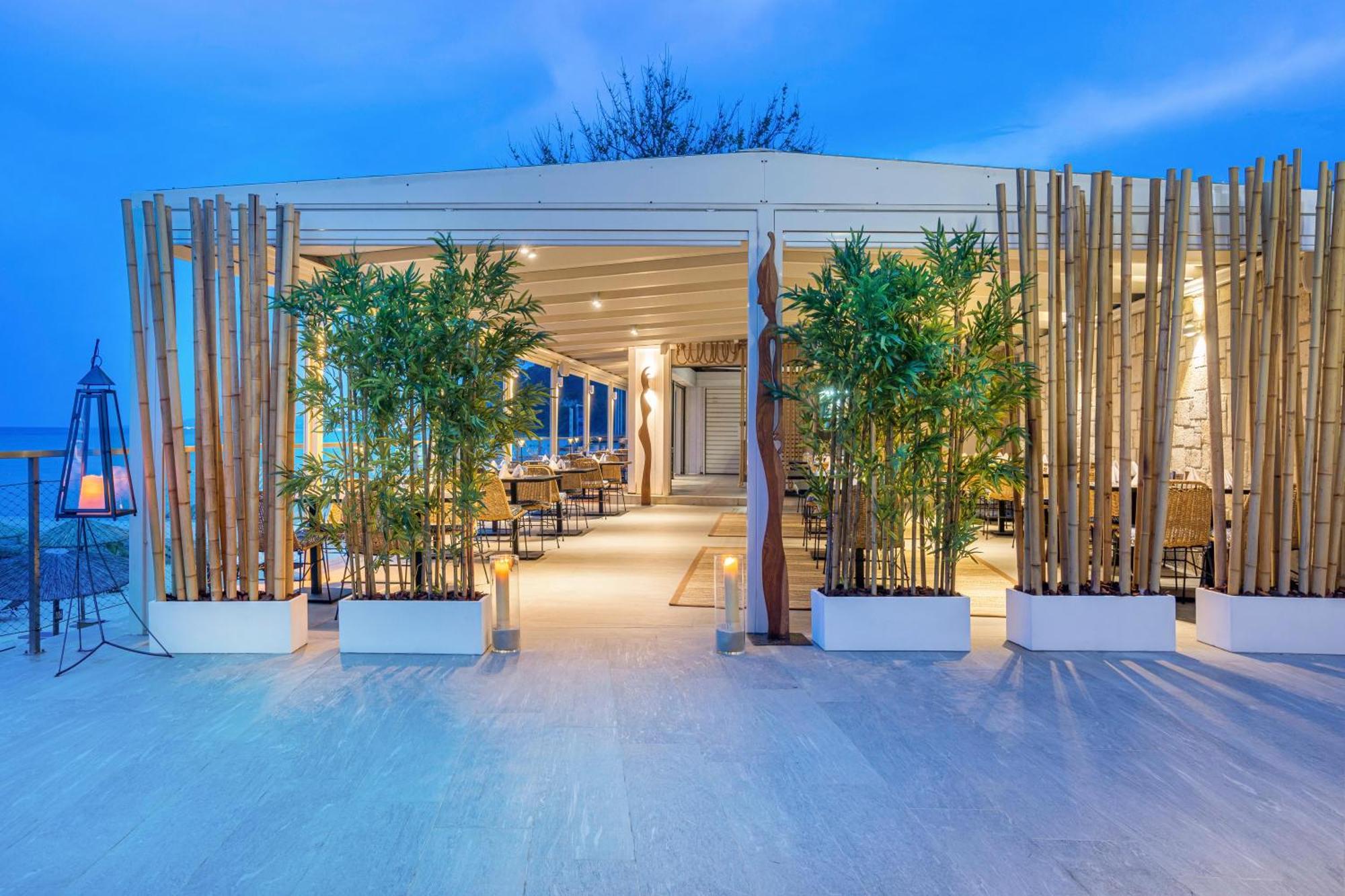 Ammon Zeus Luxury