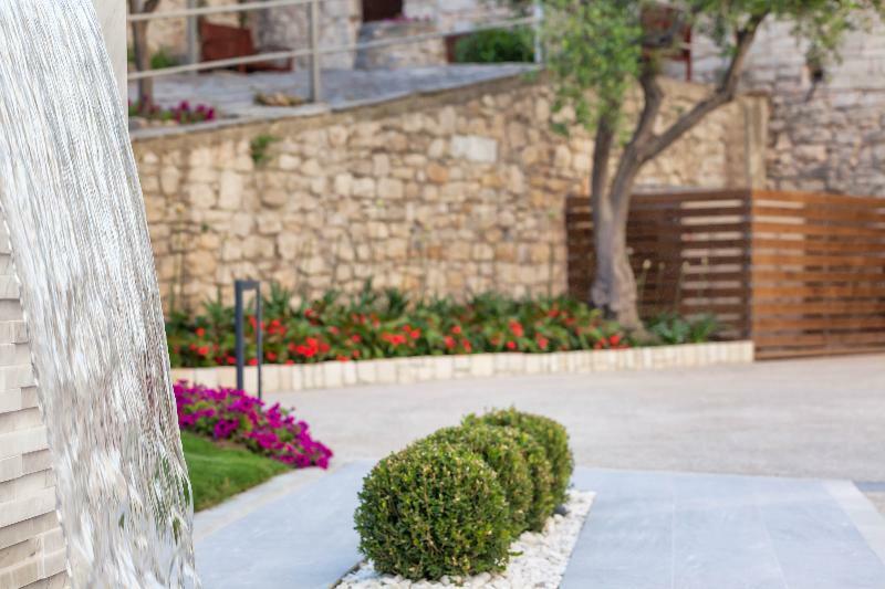 Ammon Zeus Luxury